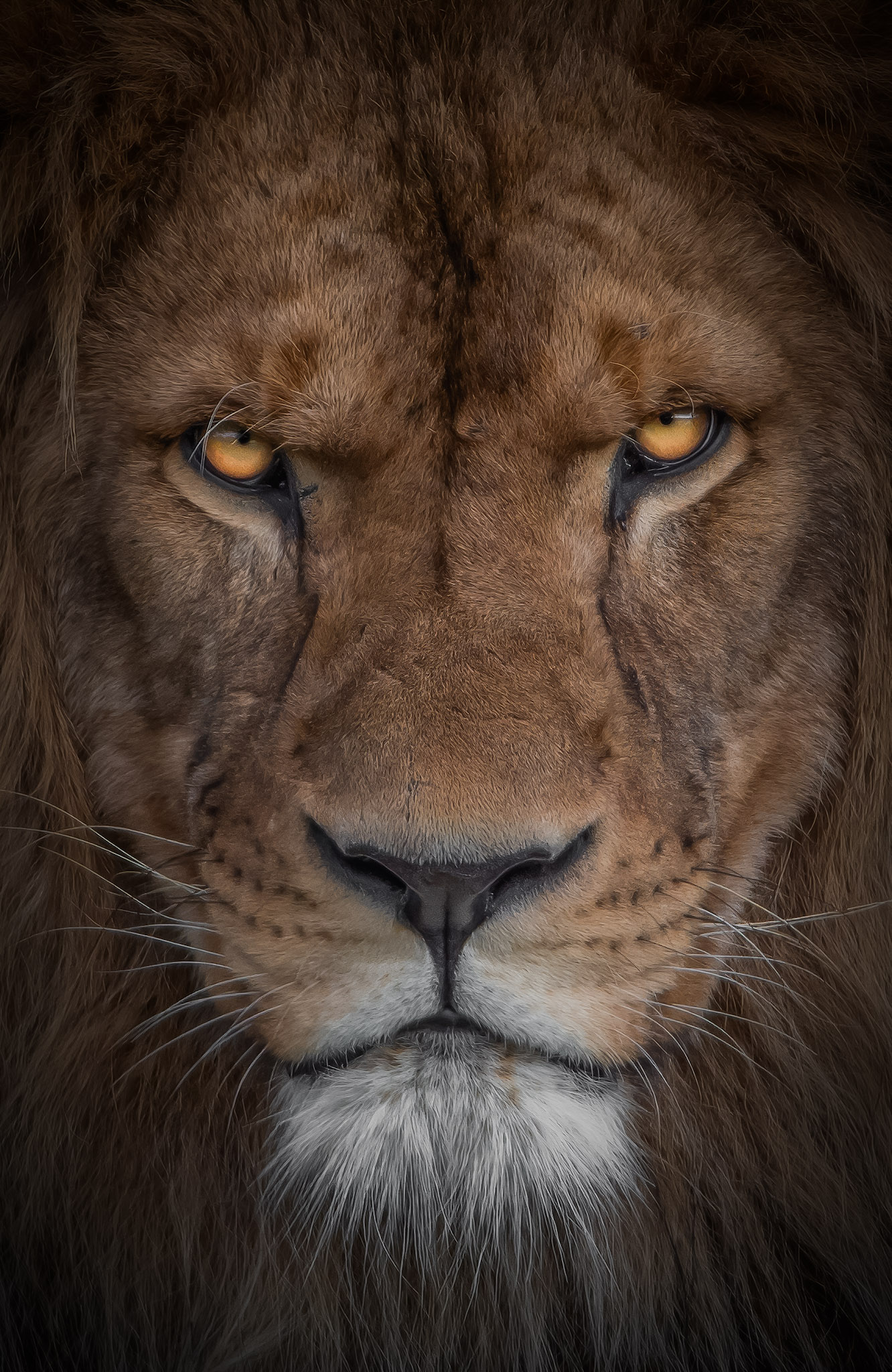 _DSC2215-topaz-sharpen-enhance-1.7x (1) (3) (2).jpg