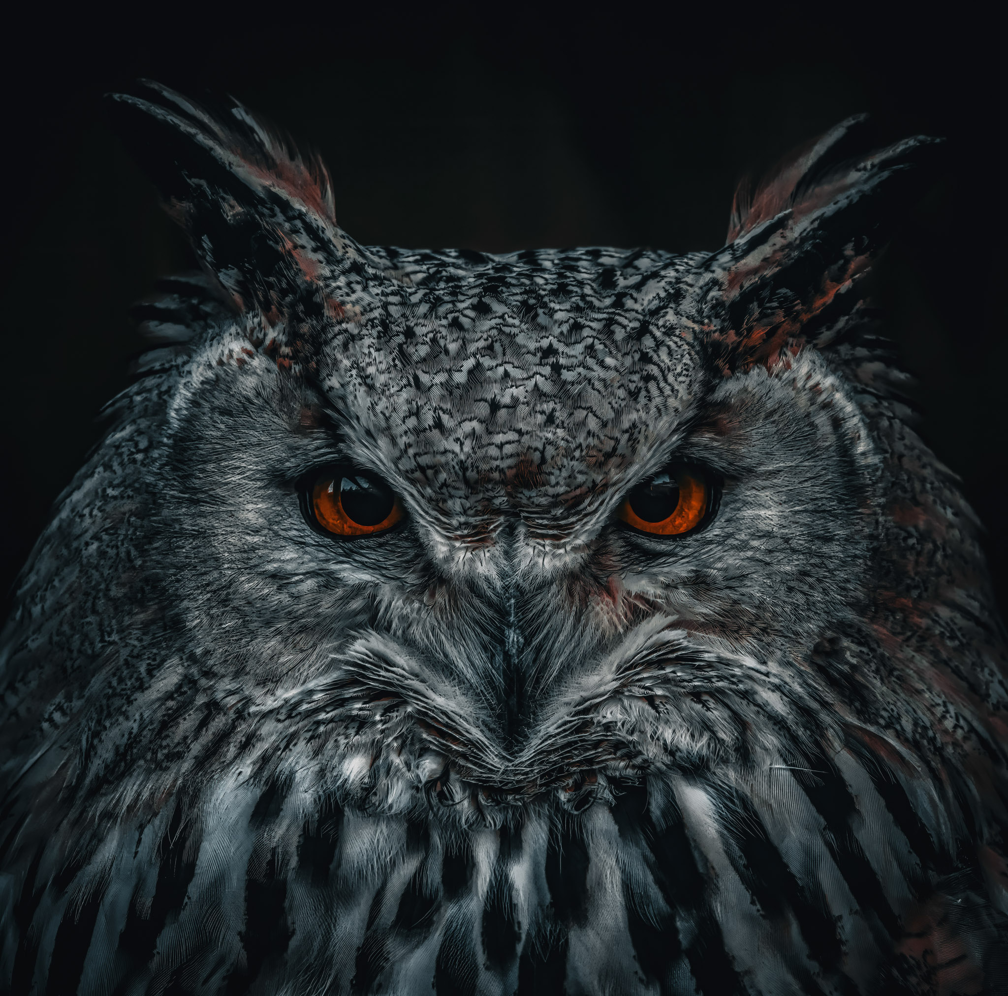 _DSC8190-topaz-denoise-enhance-2x-sharpen (3) (1).jpg