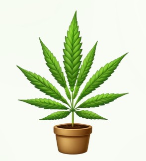 Cannabis-plant.jpg